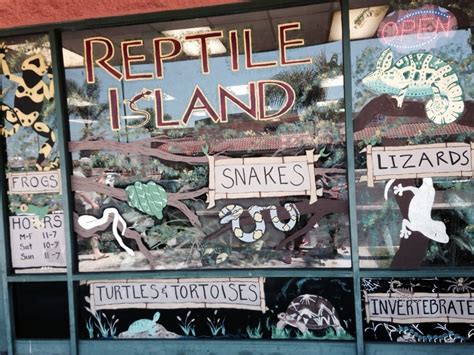 reptile island stanton